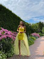 Short Mini Party Dress with Tulle Train