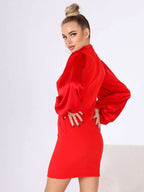 Sleek Silhouette Mini Dress