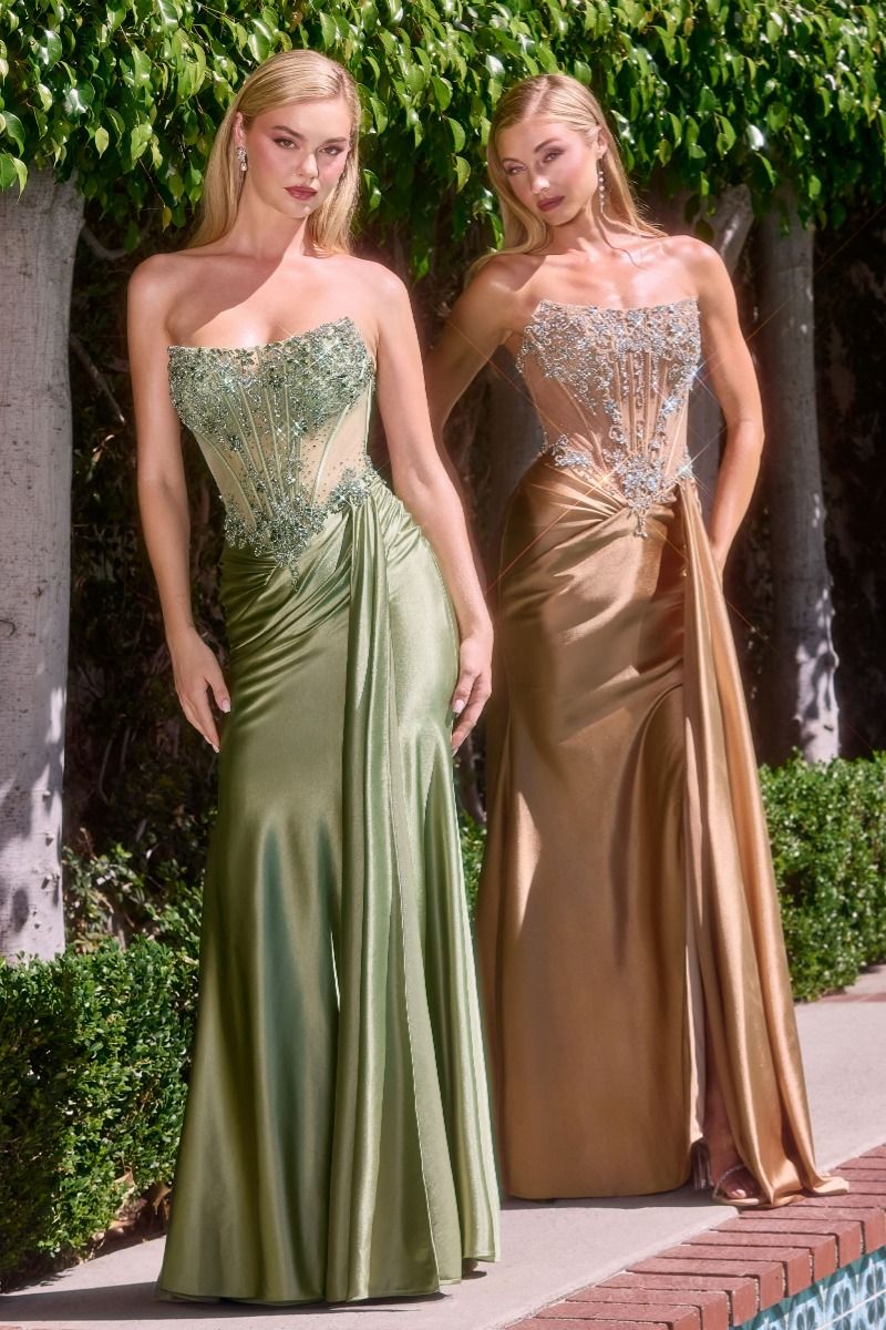 Crystal Strapless Fitted Satin Dress