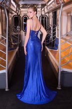 Fitted Embellished Gown