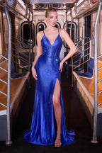 Fitted Embellished Gown