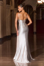 Fitted Embellished Gown
