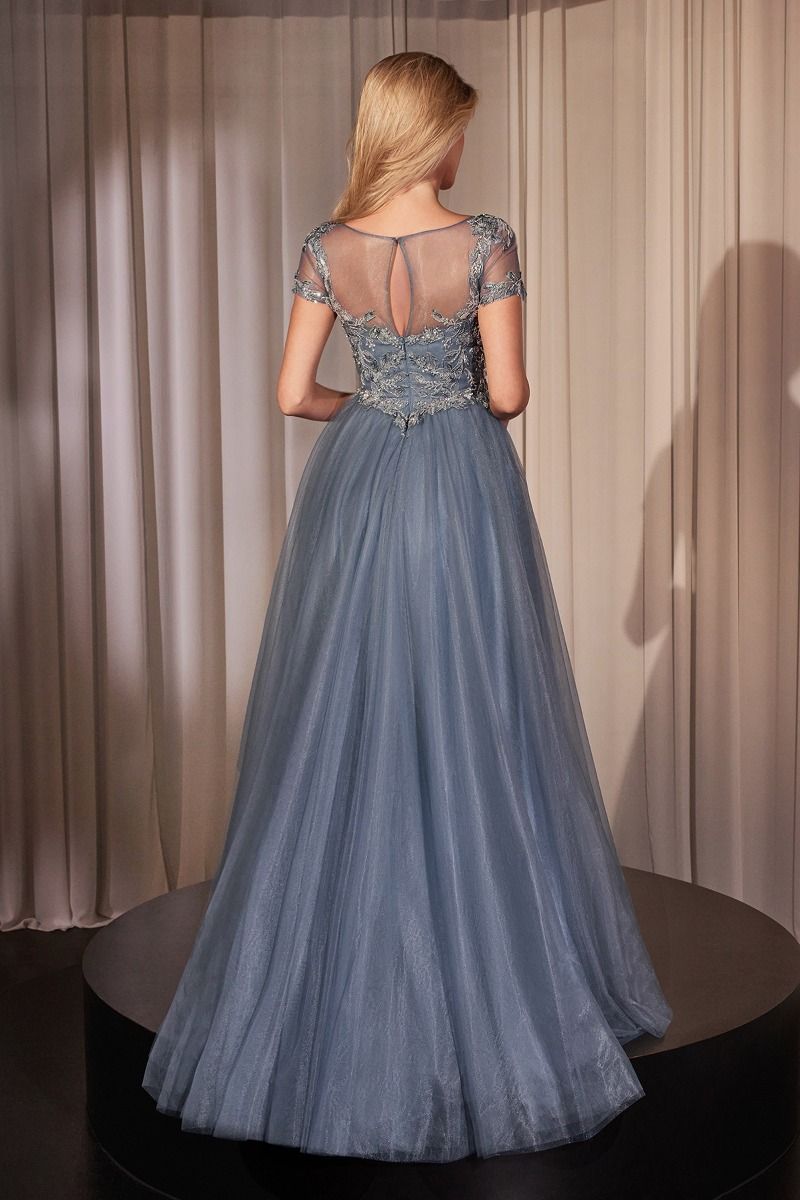 Dusty Blue Embroidered Tulle A-Line Evening Gown with Sheer Sleeves-1