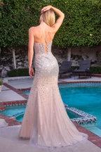 Crystal Embellished Fit & Flare Dress