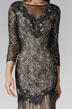 Three Quarter Length Sleeve Lace Long Dress