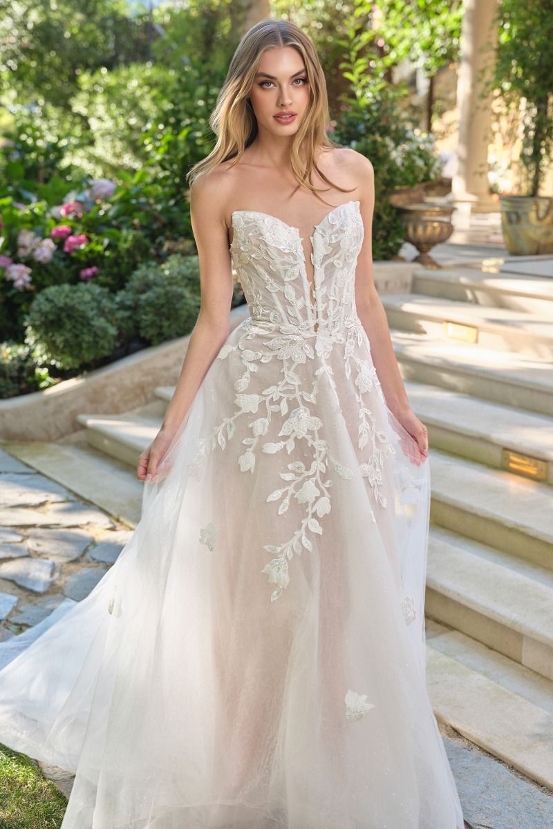 Lace Wedding Ball Gown
